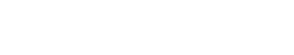 NANGA logo