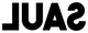 SAUL NASH logo